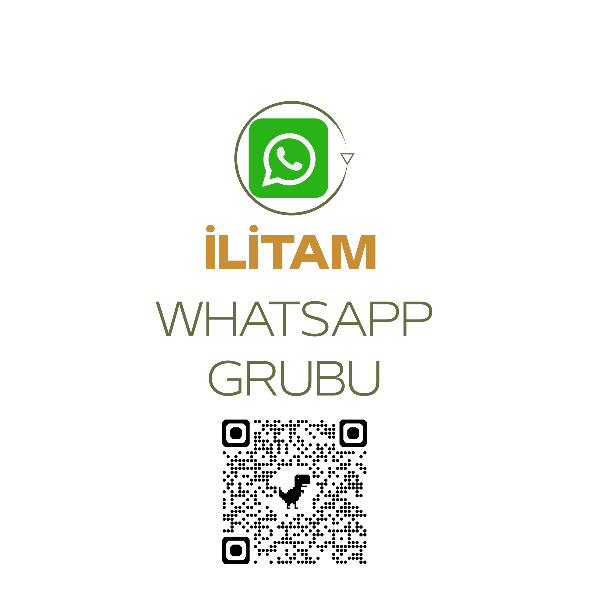 WhatsApp Grupları
